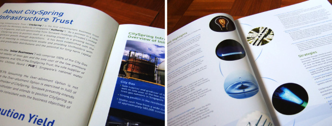 Cityspring IPO Brochure